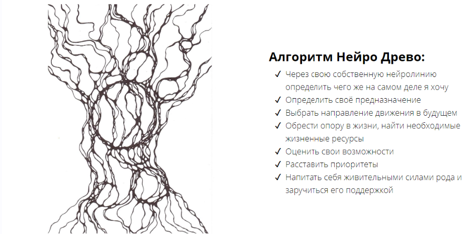 Алгоритм благодарность. Нейродрево. Нейрографика дерево рода. Нейро Древо. Нейродрево финансового роста.